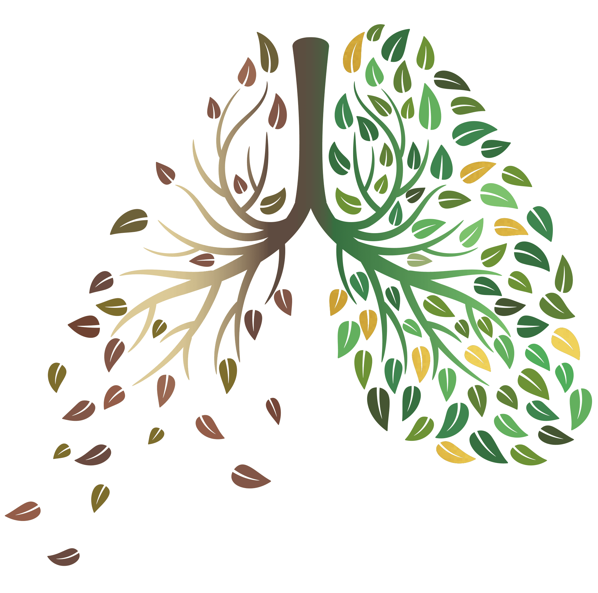 A pair of lungs drawn as a tree, the right side full and green, the left side bare and shedding its leaves
